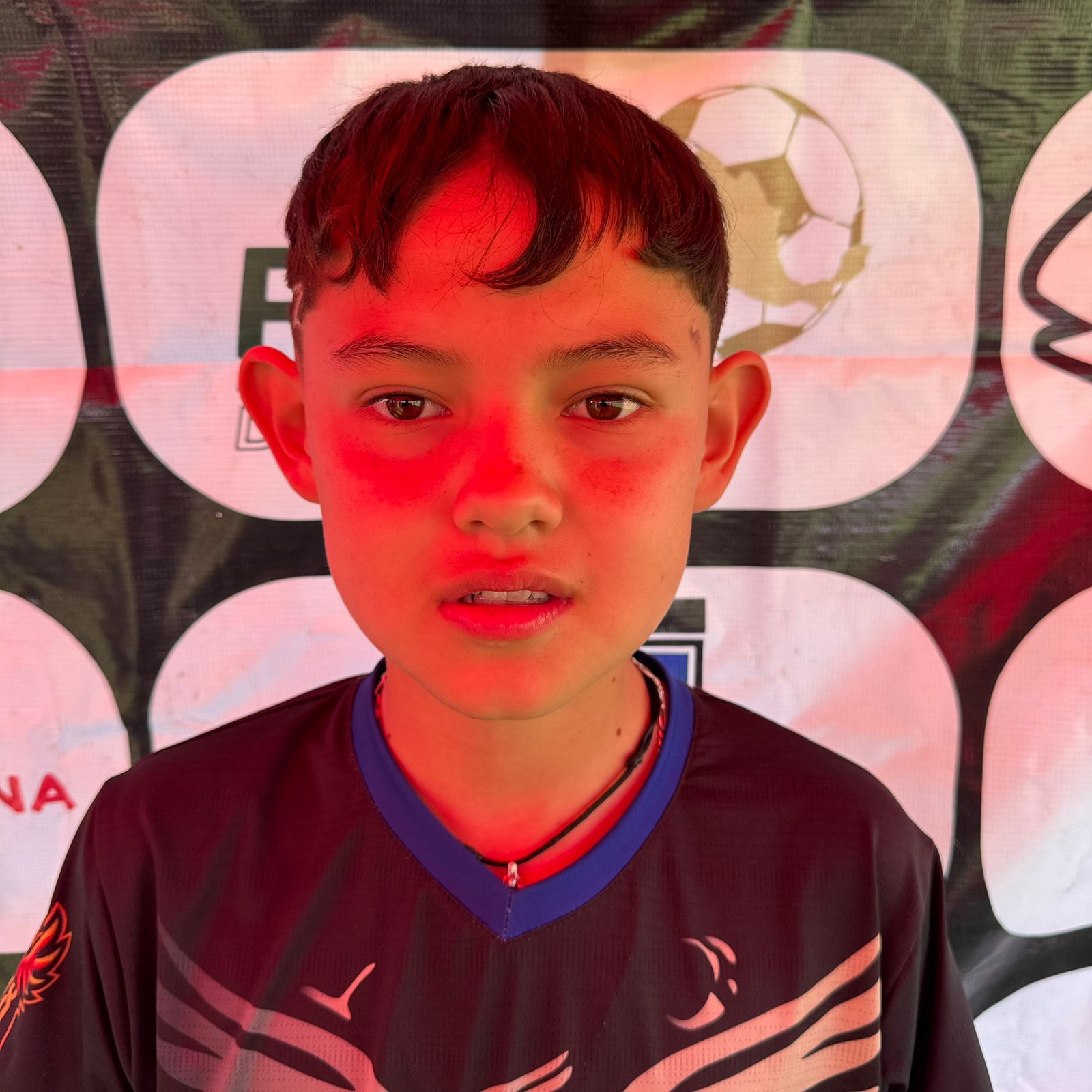 Diego Gael Ibarra Sanchez