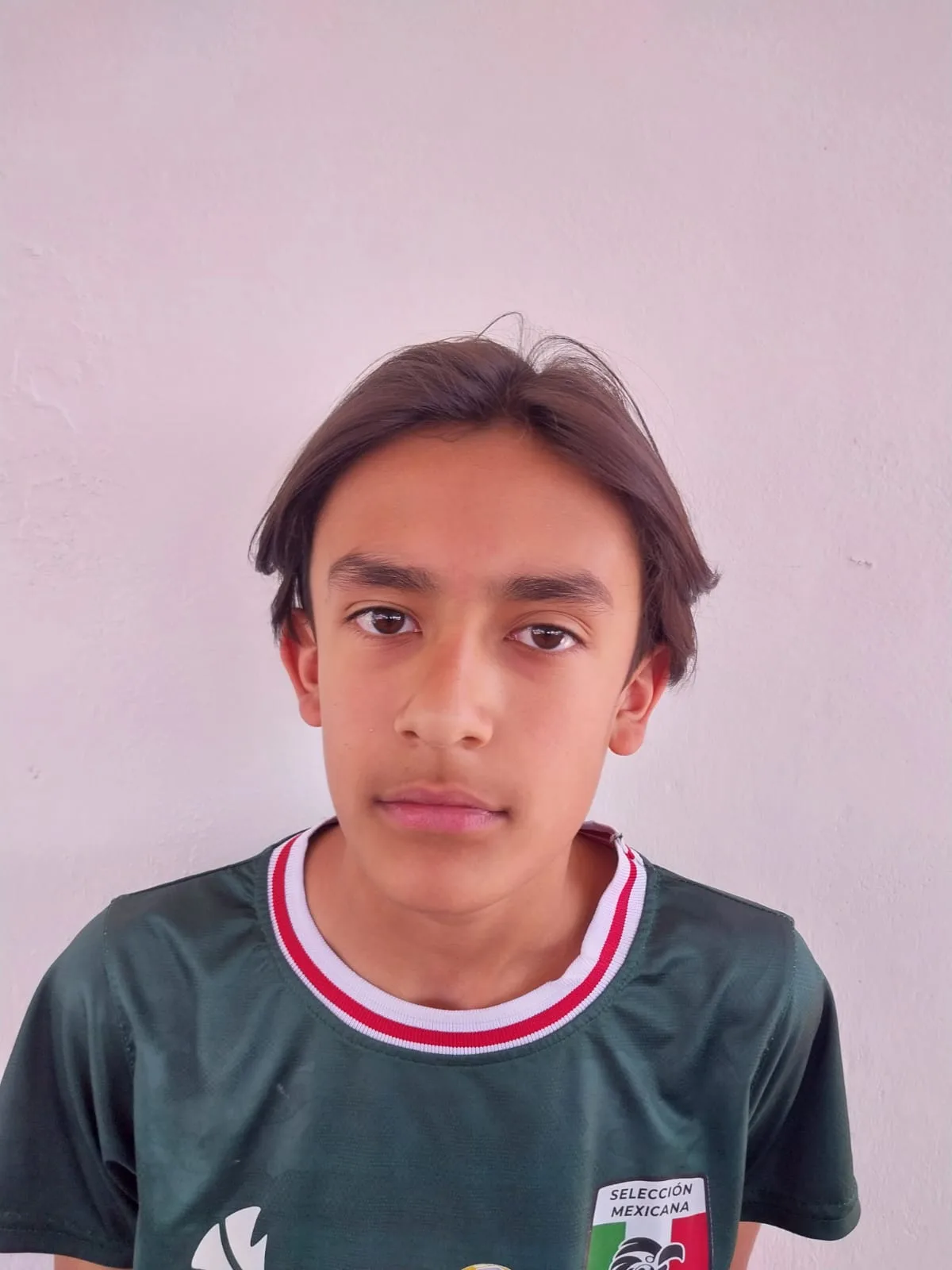 Tadeo Iñesta Juarez