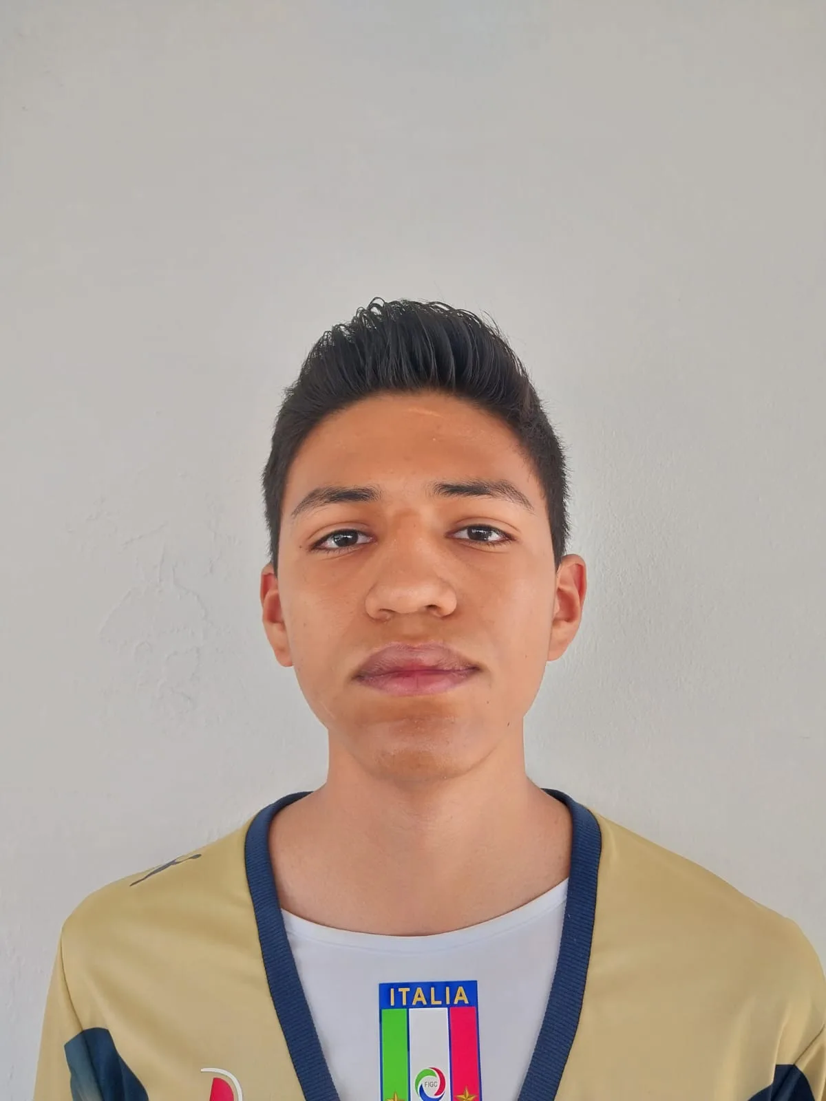 Diego Martin Cifuentes Pichardo