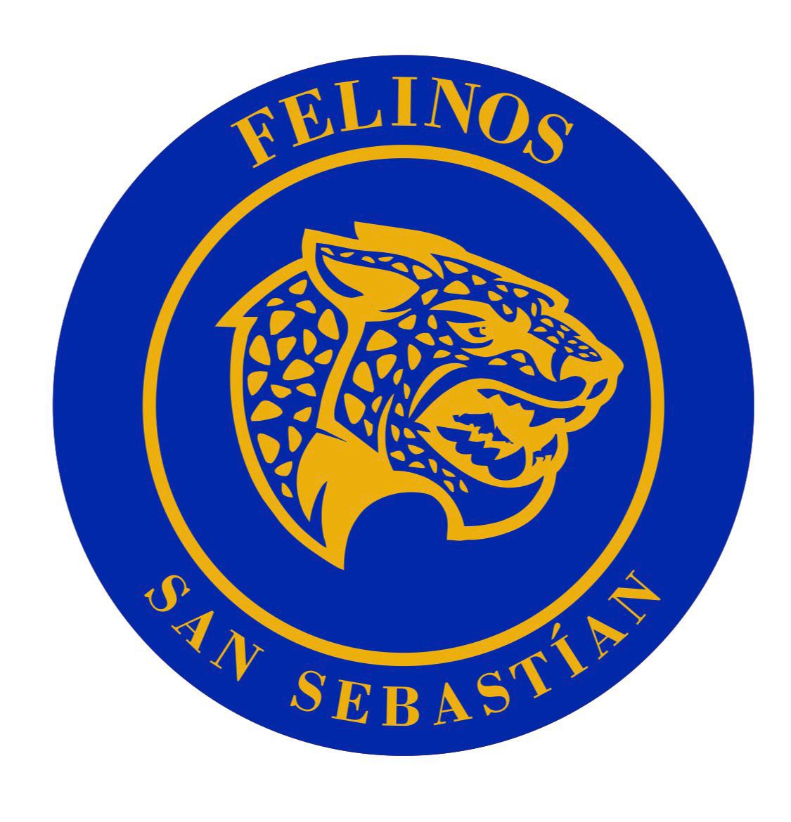 Felinos San Sebastian